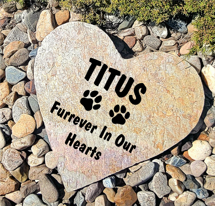 HS5 Furrever in Our Hearts Pet Memorial Stone